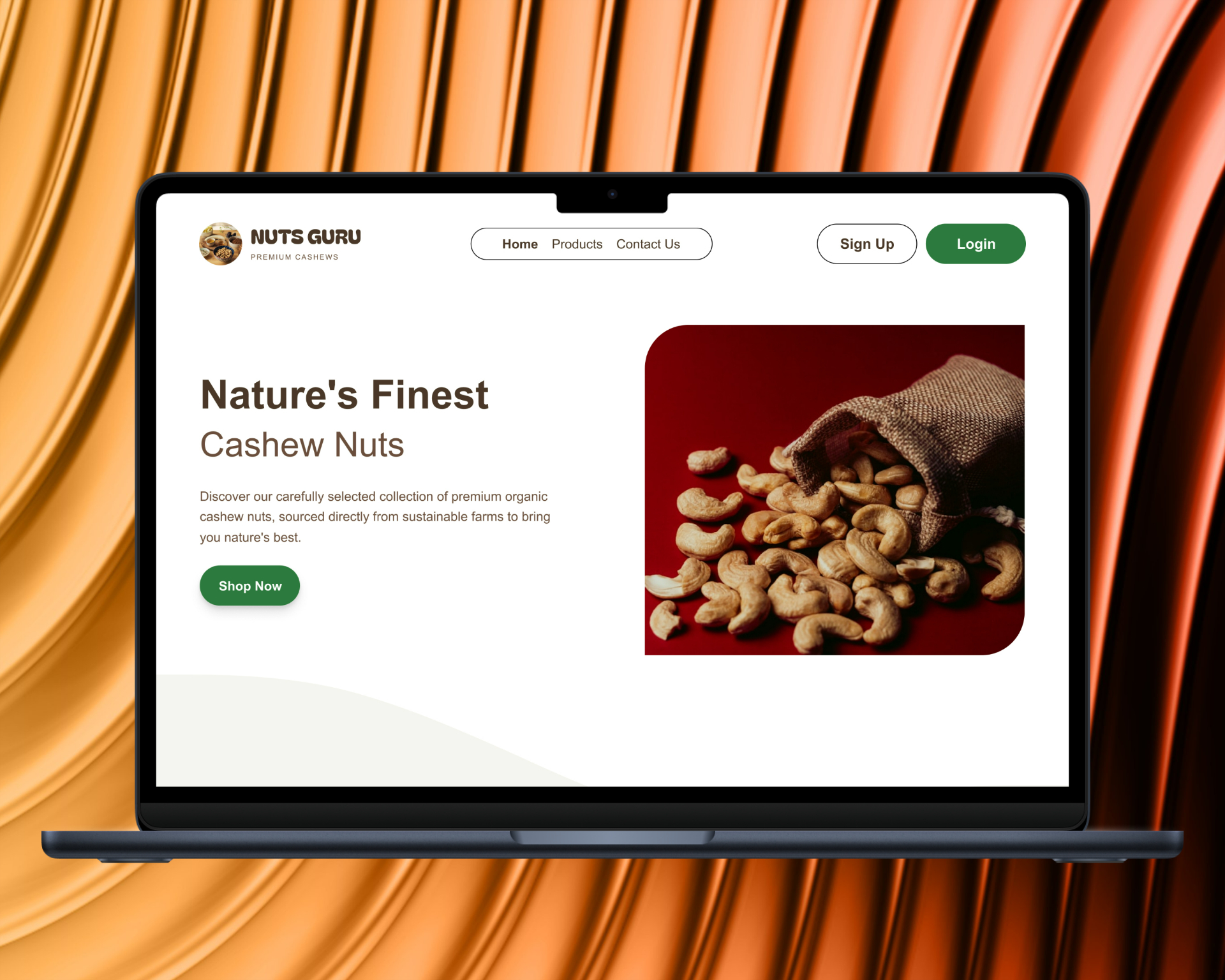 Nuts Guru Mockup